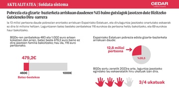 Pobrezia eta gizarte-bazterketa arriskuan daudenen %15 baino gutxiagok jasotzen dute Bizitzeko Gutxieneko Diru-sarrera (1)