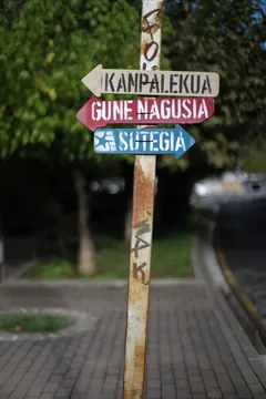 Hasi da Gazte TPGN Sozialistaren 6. edizioa, Elizondon (9)