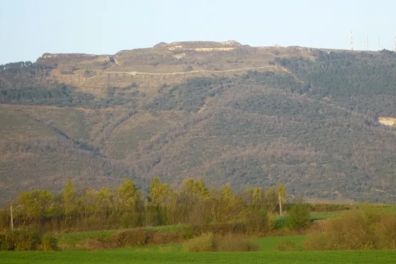 Hainbat eraso matxista salatu dituzte Gasteizen eta Iruñerrian
