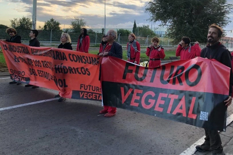 Futuro Vegetaleko beste hamabost kide atxilotu ditu Poliziak, talde kriminal bateko kide izatea egotzita