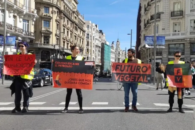 Futuro Vegetaleko 22 kideri leporatu diete "talde kriminal" baten parte izatea