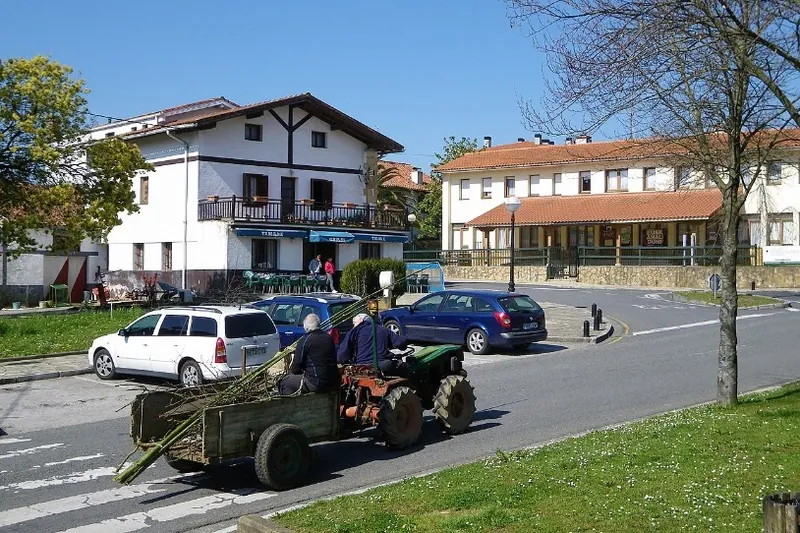 Langile bat zauritu da lanean ari zela, Laukizen