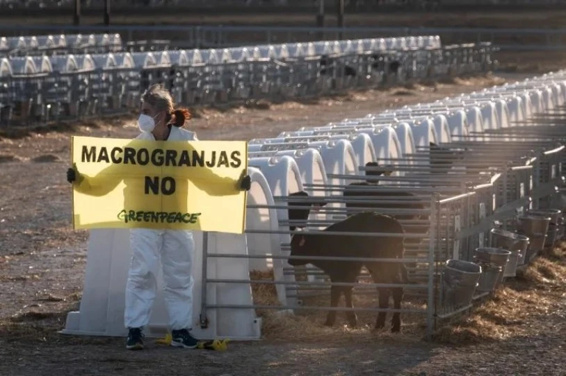 Greenpeaceko zortzi kide epaituko dituzte Nafarroan, makroetxalde baten kontrako protestagatik