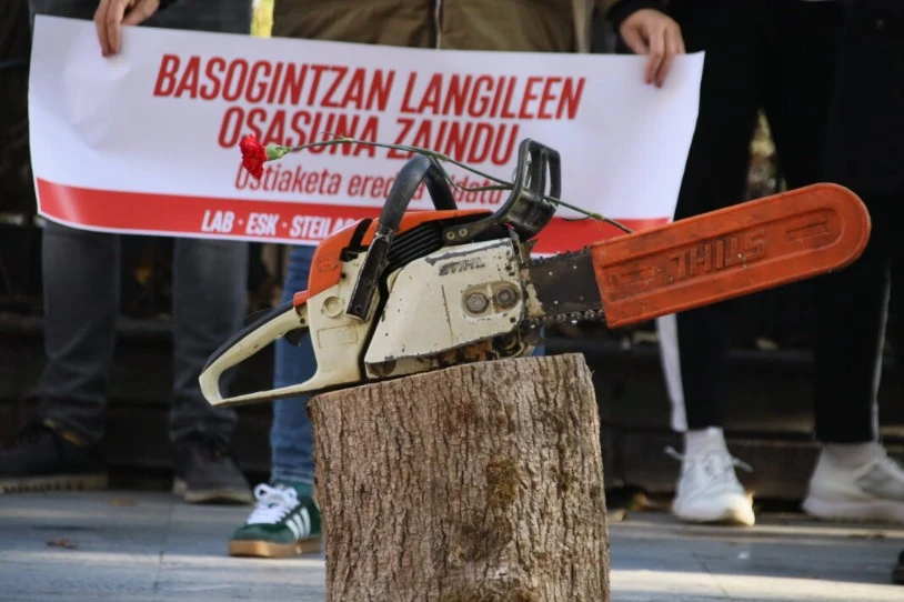 Basogintza sektoreko hilgarritasuna salatu dute