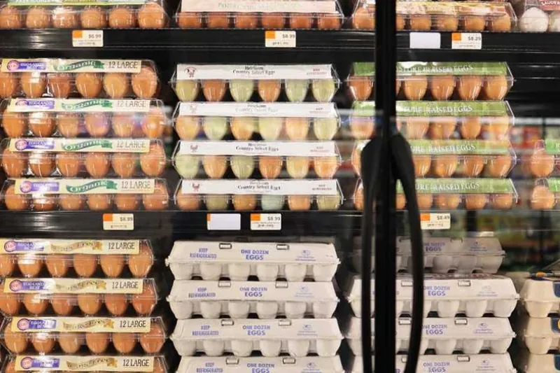 Prezioak gora: erosketa-saskia %2,5 garestitu da aurten Espainiako Estatuan