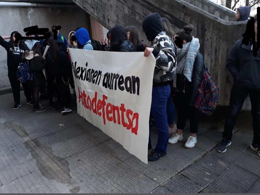 Laudioko Ikastolan Alexia plataformaren erabilera indargabetzea lortu du Aiaraldeko Ikasle Autodefentsa Sareak