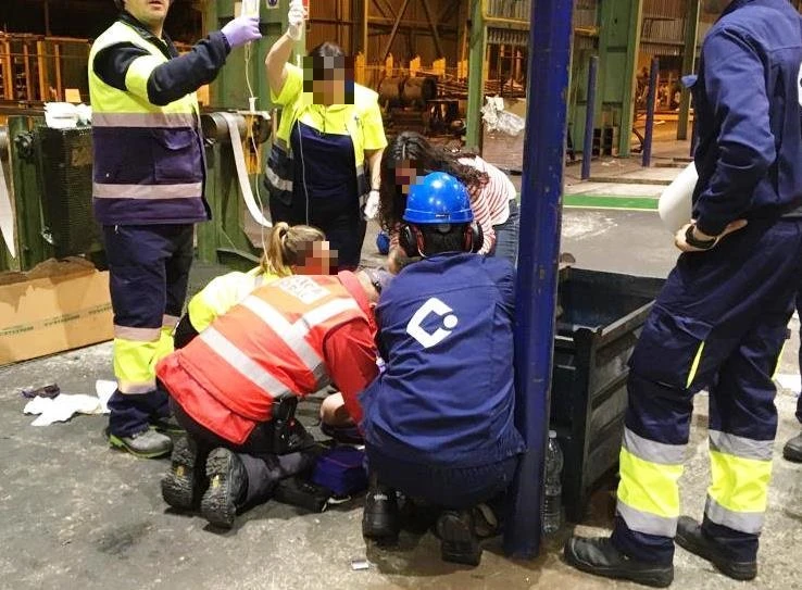 Oso larri zauritu da langile bat Lesakan