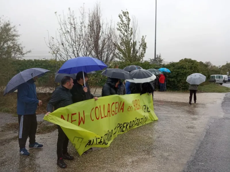 Lan baldintzak hobetzea lortu dute New Collagenako langileek, grebari esker