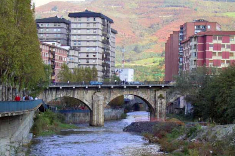 Labankadaz ama zauritu du 19 urteko gazte batek Basaurin