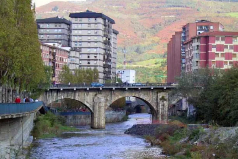Labankadaz ama zauritu du 19 urteko gazte batek Basaurin