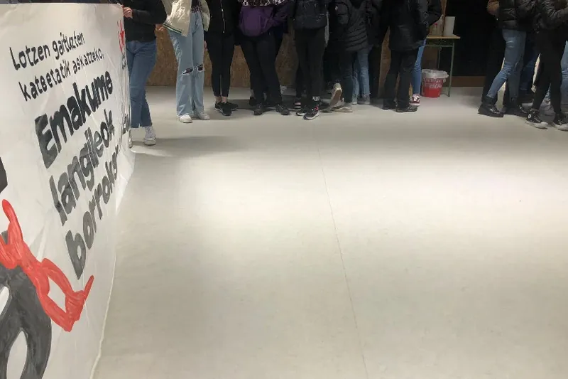 Neska batek eraso matxista bat jasan du Altsasuko institutuan