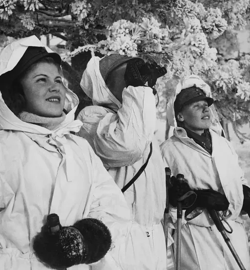 Iraultza eta kontrairaultza Finlandian