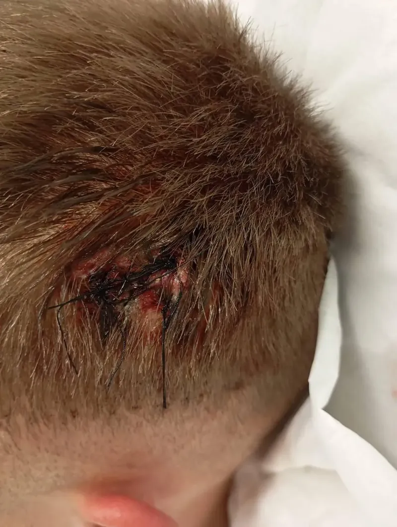 Sadarren izandako karga polizialak defendatu ditu berriz Alicia Etxeberriak (PSN)